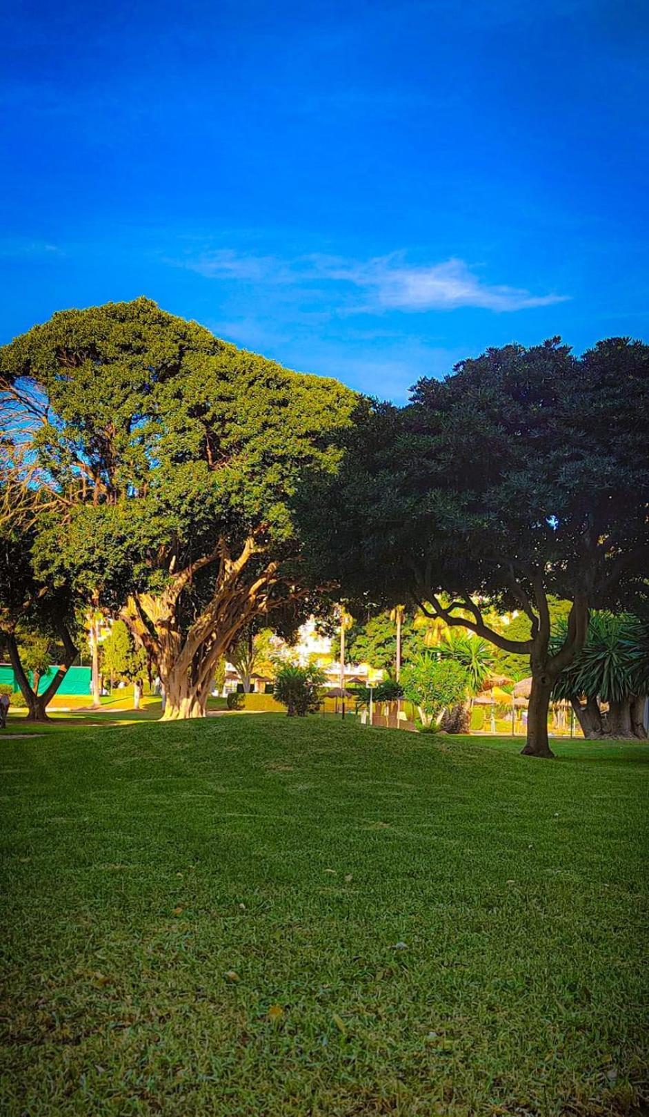 ベナルマデナKaizen. Terraza, Piscinas, Playa A 5 Minutos.アパートメント エクステリア 写真